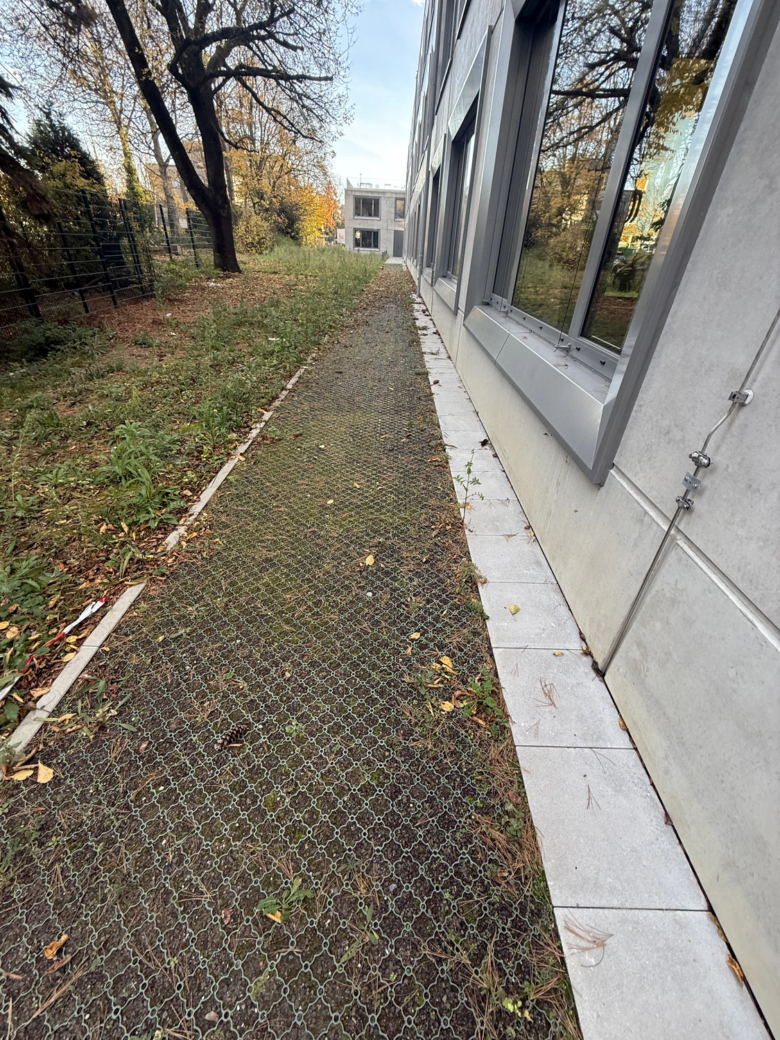 Fugentechnik Buchen - Bau - Schmaler, gepflasterter Weg mit Drahtgitter entlang eines grauen Gebäudes mit großen Fenstern, links begrenzt von Gras und Bäumen