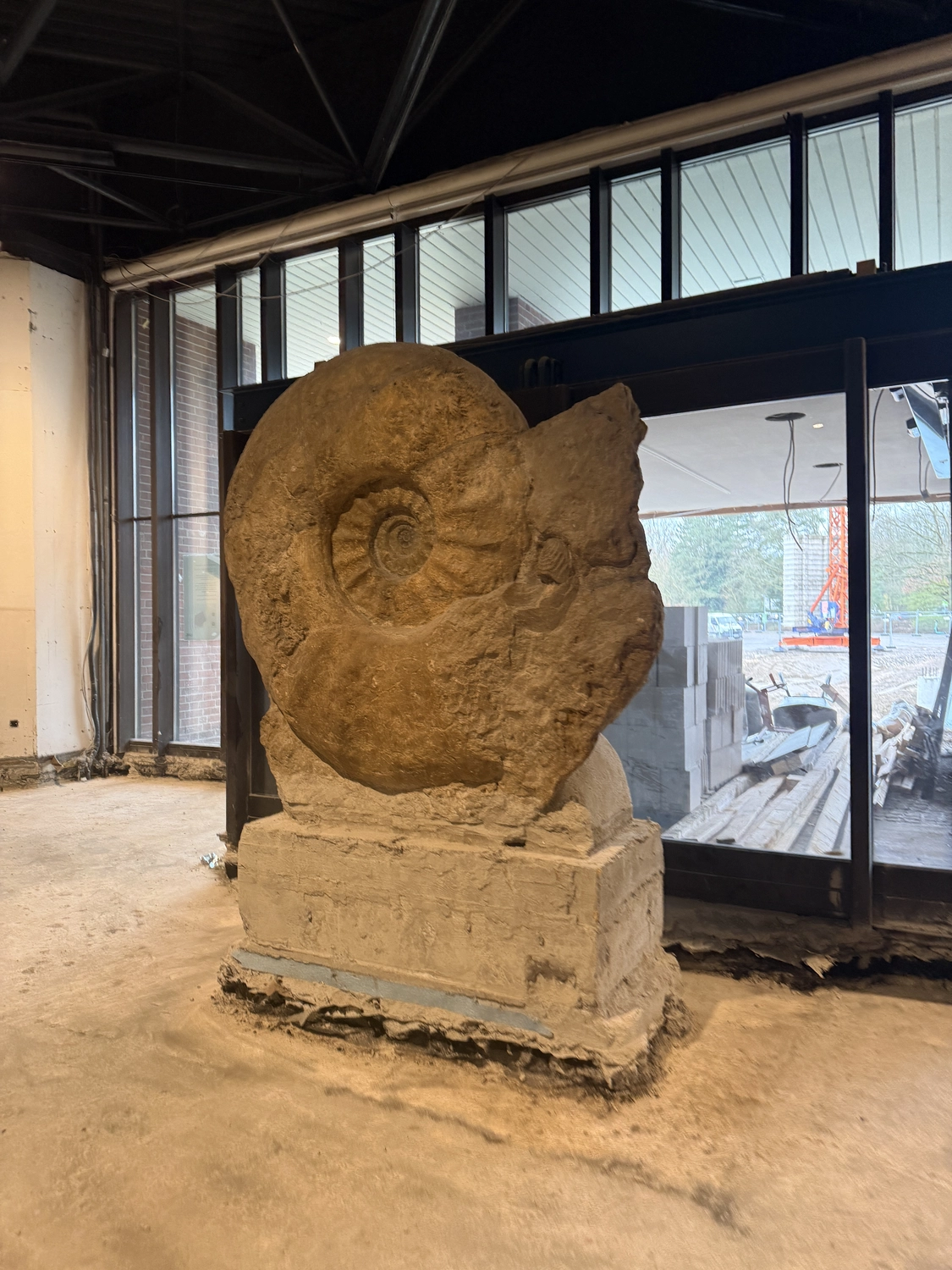 Fugentechnik Buchen - Bau - Großer fossiler Ammonit, ausgestellt in einem Innenraum auf einem Betonsockel mit Glaswänden und sichtbaren Baumaterialien von außen