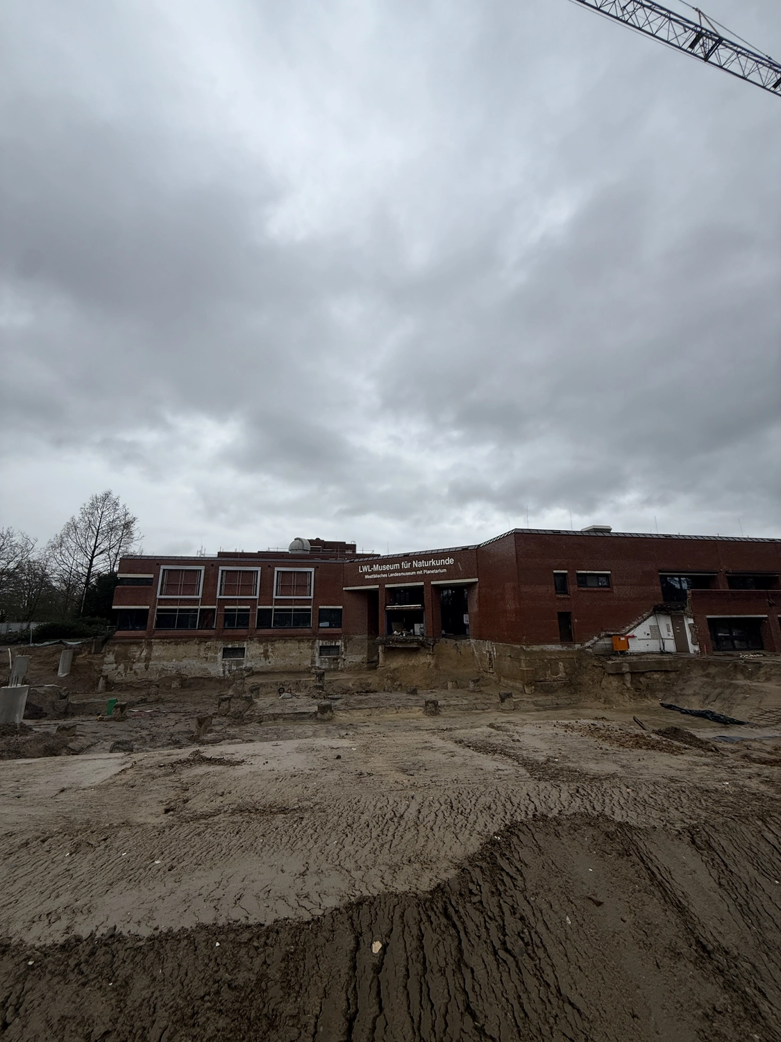 Gebäude der Fugentechnik Buchen - Bau - LWL-Museum für Naturkunde hinter einer Ausgrabungsstätte mit bedecktem Himmel und Baukran